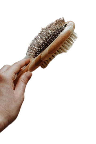 Dog Brush